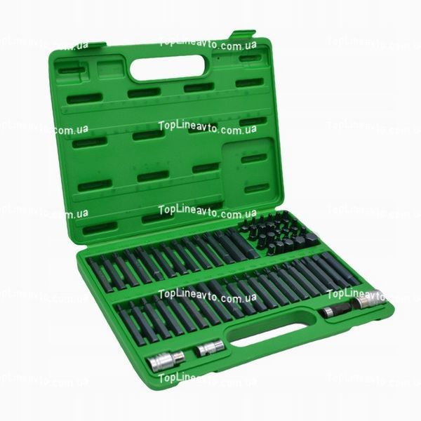 Професійний набір біт TORX, HEX, SPLINE, RIBE, SQ 60од. TOPTUL GCAI6003 GCAI6003 фото