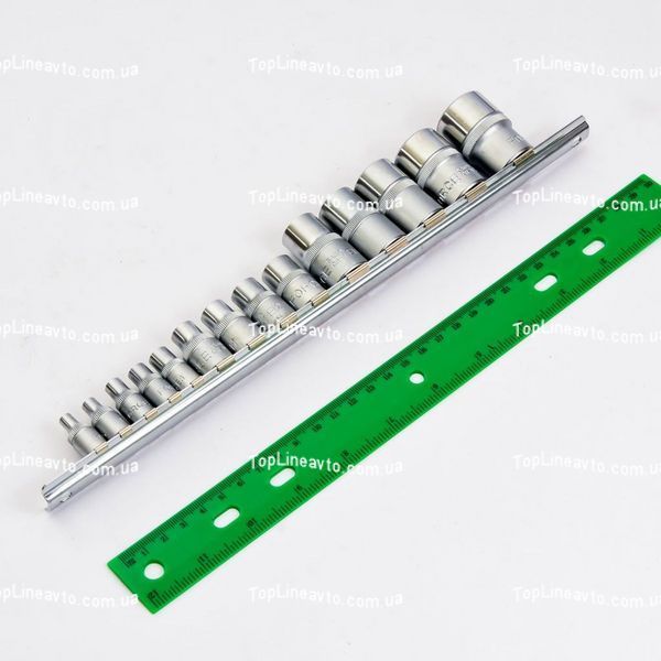Набір професійних&nbsp;головок 1/2" Е-профіль (Torx) та 1/4", 3/8" 14 од. (E4-E24) Force 4158 F 4158 F фото