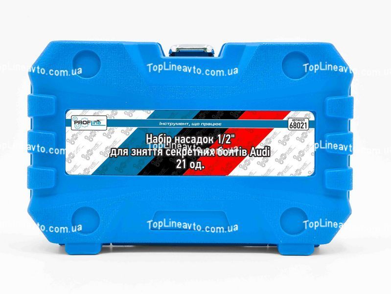 Набор головок для демонтажа секретных болтов AUDI 21 шт. Profline 68021 68021 фото
