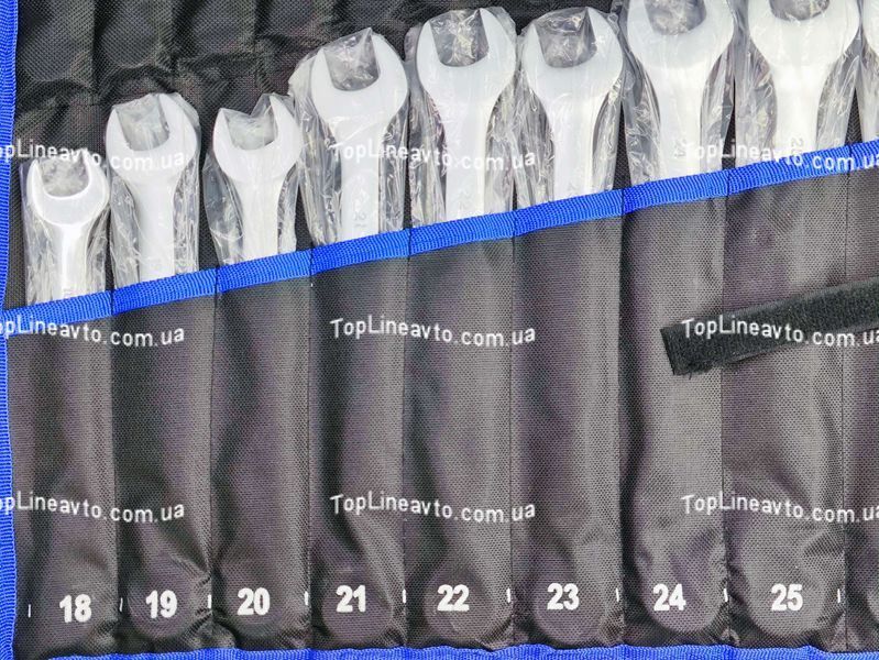 Набір ключів комбінованих на полотні 25 од. Profline 60225 60225 фото