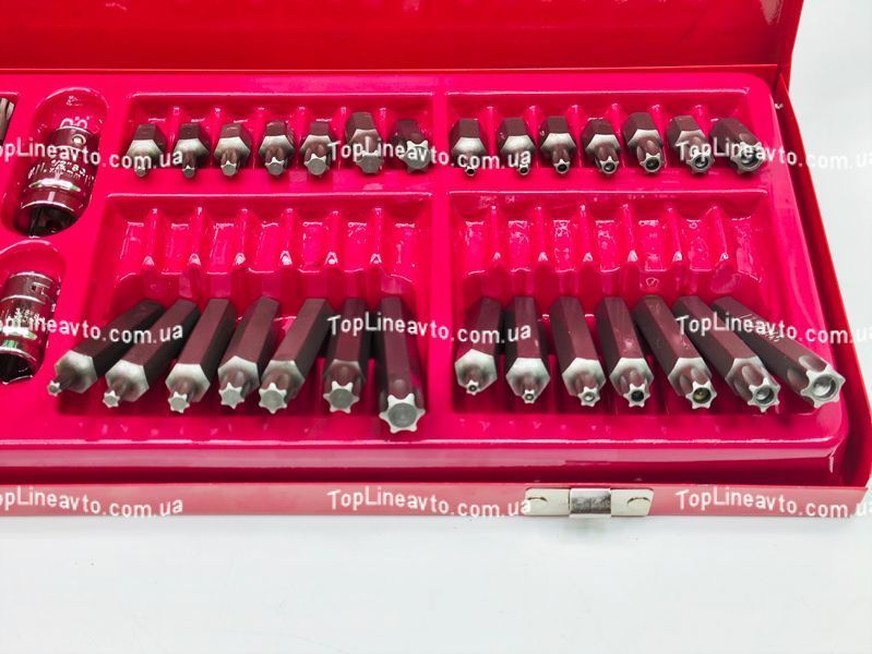 Набір біт HEX, SPLINE, TORX, Torx Tamper 54 од. Profline 31054 31054 фото